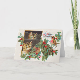 Cartes Pour Fêtes Annuelles Joyeux Noël (1911) Deux Chats Et Robin Bird