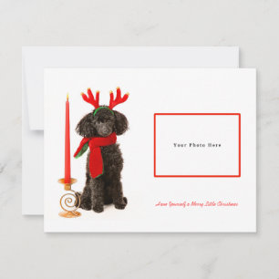 Cartes Pour Fêtes Annuelles Joyeux Noël à la canicule de Jouet noir