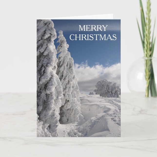 Cartes Pour Fêtes Annuelles Joyeux Noël à la Pine des neiges (Devant)