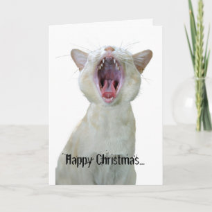 Cartes Pour Fêtes Annuelles Joyeux Noël à mew !