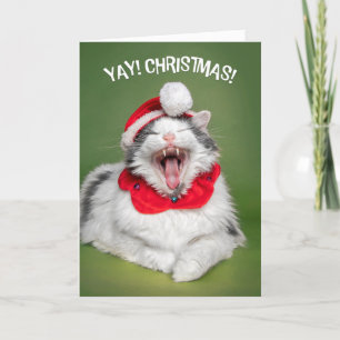 Cartes Pour Fêtes Annuelles Joyeux Noël à quiconque Chat heureux dans le Chape