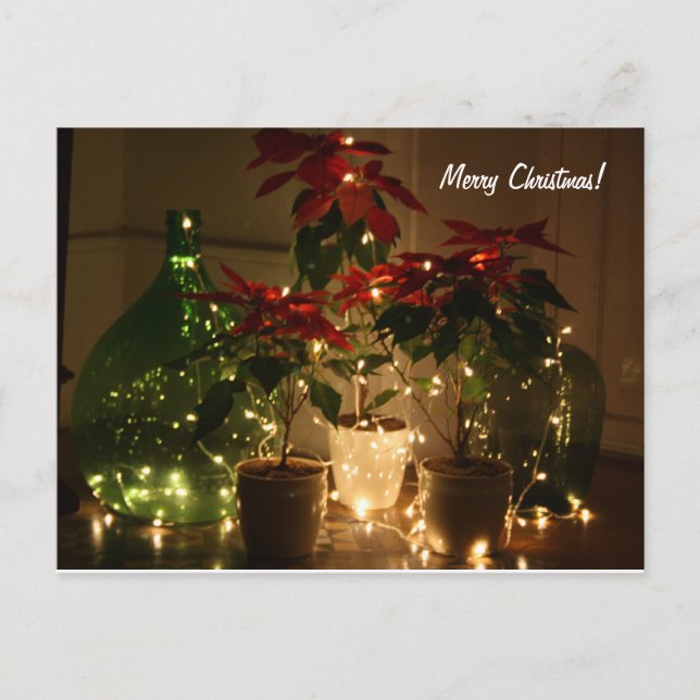 Cartes Pour Fêtes Annuelles Joyeux Noël à tous (Devant)