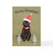 Joyeux Noël à tous Funny Cat dans le chapeau de Sa