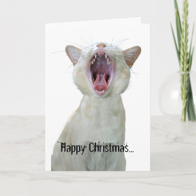 Cartes Pour Fêtes Annuelles Joyeux Noël à tous les chats cool ! (Devant)