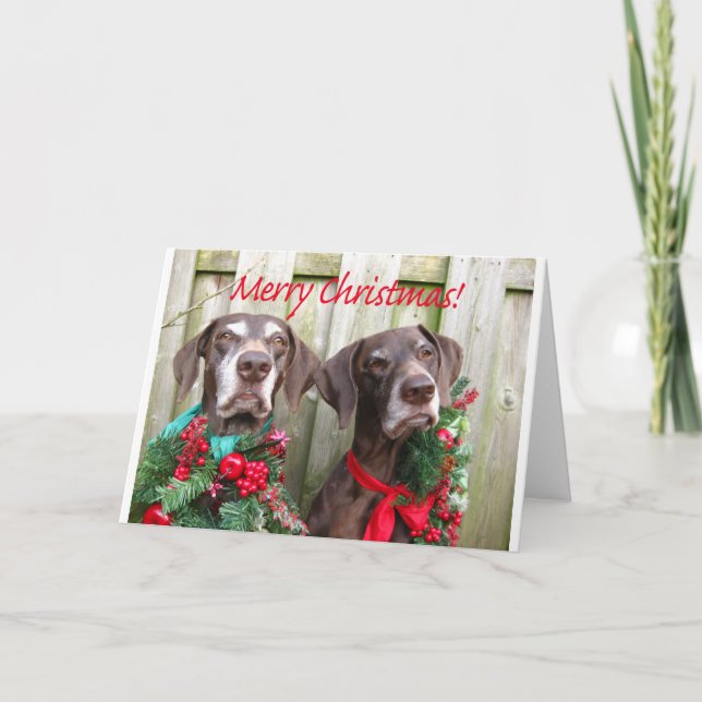 Cartes Pour Fêtes Annuelles Joyeux Noël Allemand pointeur court (Devant)