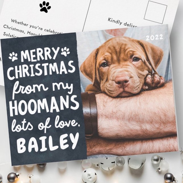 Cartes Pour Fêtes Annuelles Joyeux Noël Amusant animal de compagnie moderne Ph (Créateur téléchargé)