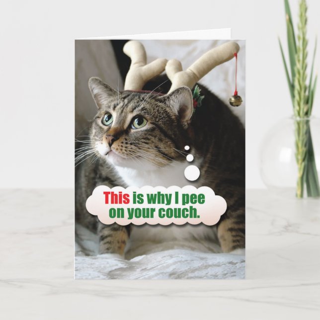 Cartes Pour Fêtes Annuelles Joyeux Noël animal - Pie sur canapé (Devant)