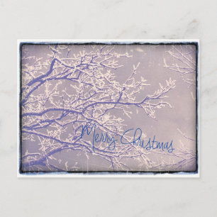 Cartes Pour Fêtes Annuelles Joyeux Noël Arbre d'hiver Branches