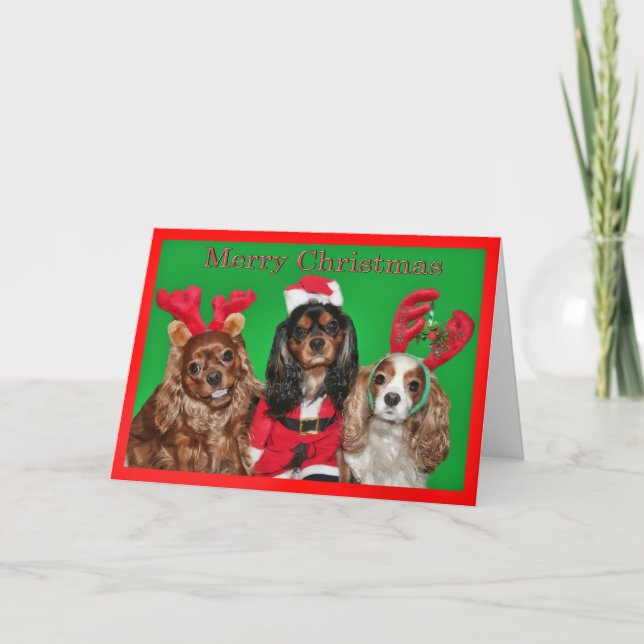 Cartes Pour Fêtes Annuelles Joyeux Noël Avec Trois Roi Charles Spaniels (Devant)