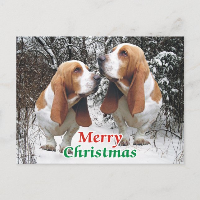 Cartes Pour Fêtes Annuelles Joyeux Noël Basset Hounds (Devant)