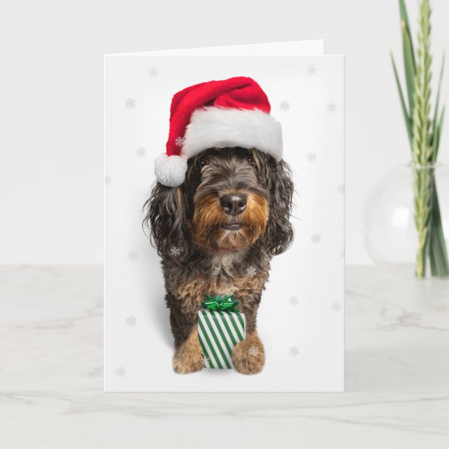 Cartes Pour Fêtes Annuelles Joyeux Noël Bernedoodle Chien à Santa Hat (Devant)