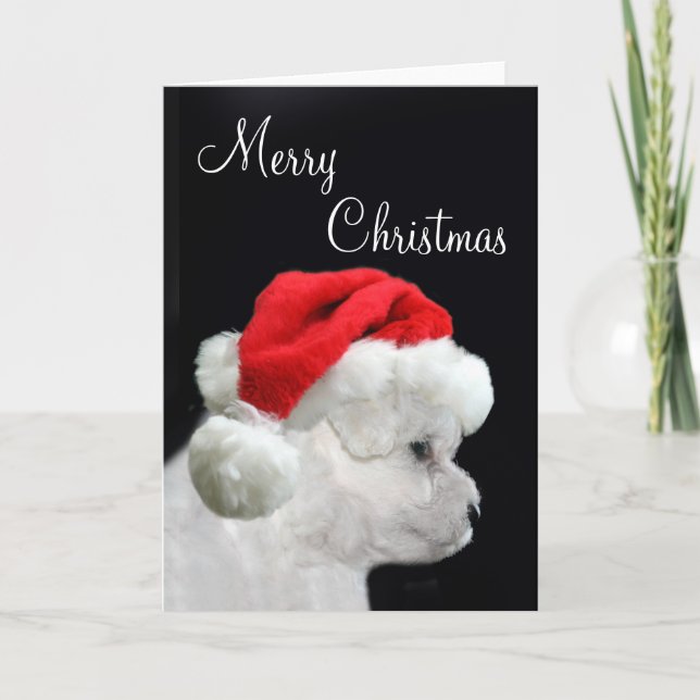Cartes Pour Fêtes Annuelles Joyeux Noël Bichon Frise (Devant)