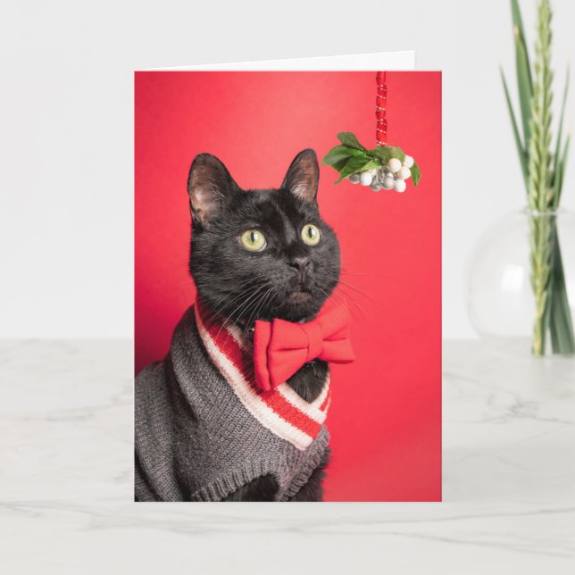 Cartes Pour Fêtes Annuelles Joyeux Noël Chat beau avec Humour Mistletoe (Devant)