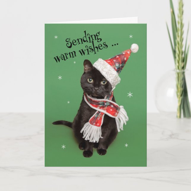 Cartes Pour Fêtes Annuelles Joyeux Noël Chat Drôle avec Chapeau et Écharpe (Devant)