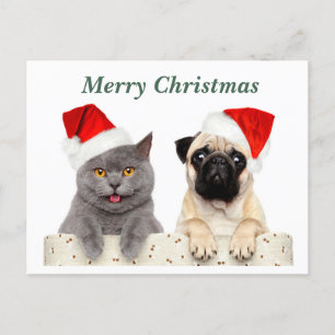 Cartes Pour Fêtes Annuelles Joyeux Noël Chat et chien Carlin