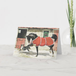 Cartes Pour Fêtes Annuelles Joyeux Noël Cheval Vintage et Chien