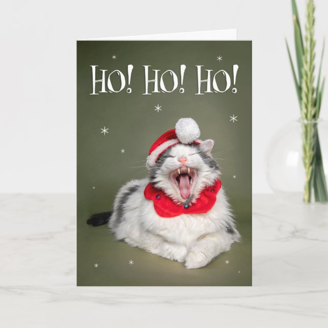 Cartes Pour Fêtes Annuelles Joyeux Noël Citation de Chat Drôle Ho Ho Ho (Devant)