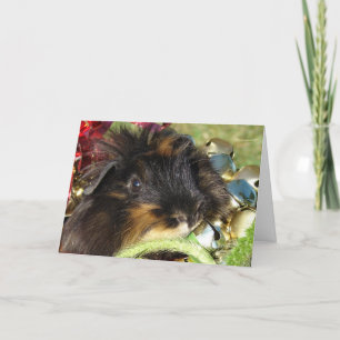 Cartes Pour Fêtes Annuelles Joyeux Noël!  Cochon de Guinée
