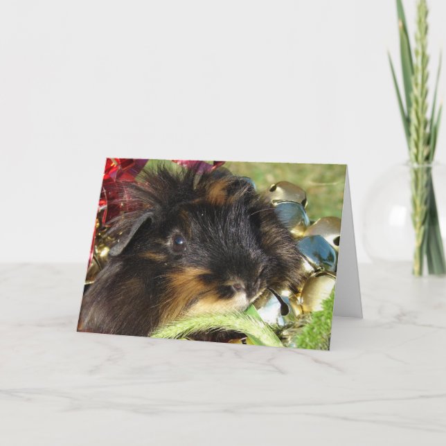 Cartes Pour Fêtes Annuelles Joyeux Noël! Cochon de Guinée (Devant)