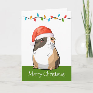 Cartes Pour Fêtes Annuelles Joyeux Noël Cochon d'Inde Mignon Père Noël