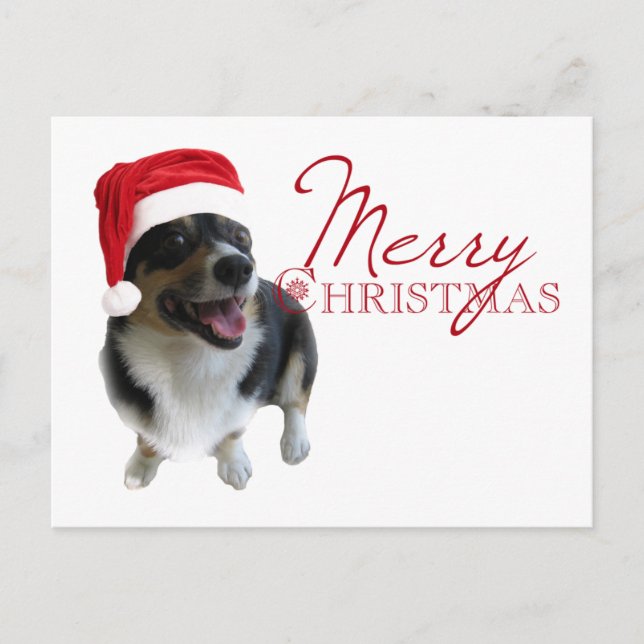 Cartes Pour Fêtes Annuelles Joyeux Noël Corgi Père Noël (Devant)