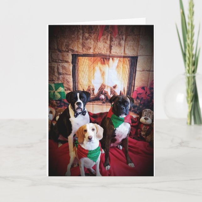CARTES POUR FÊTES ANNUELLES JOYEUX NOËL COSY/CHALEUREUX / HEUREUX NOUVEL AN (Devant)