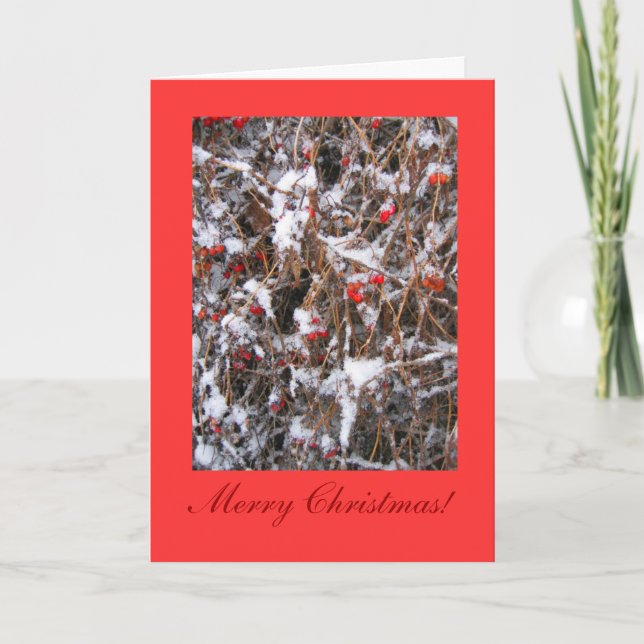 Cartes Pour Fêtes Annuelles Joyeux Noël de baie (Devant)