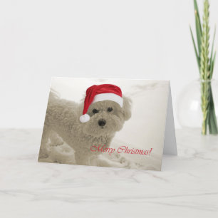 Cartes Pour Fêtes Annuelles Joyeux Noël de Bichon