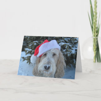 Cartes Pour Fêtes Annuelles Joyeux Noël de GBGV