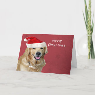 Cartes Pour Fêtes Annuelles Joyeux Noël de golden retriever