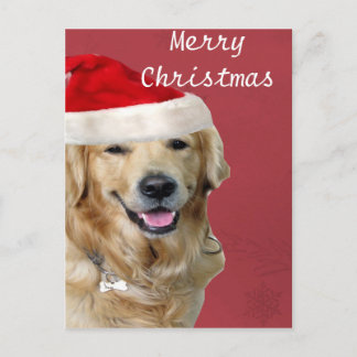 Cartes Pour Fêtes Annuelles Joyeux Noël de golden retriever