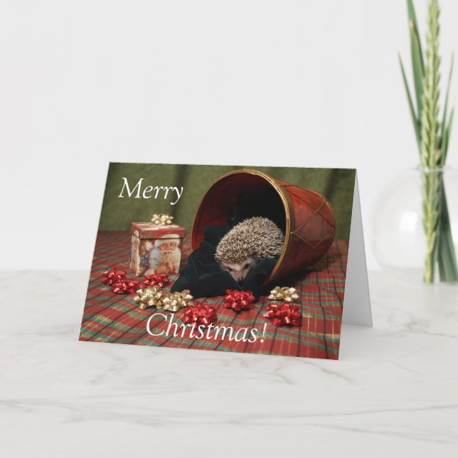 Cartes Pour Fêtes Annuelles Joyeux Noël de hérisson (Devant)