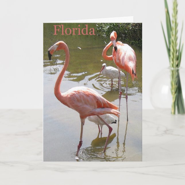 Cartes Pour Fêtes Annuelles Joyeux Noël de la Floride (Devant)