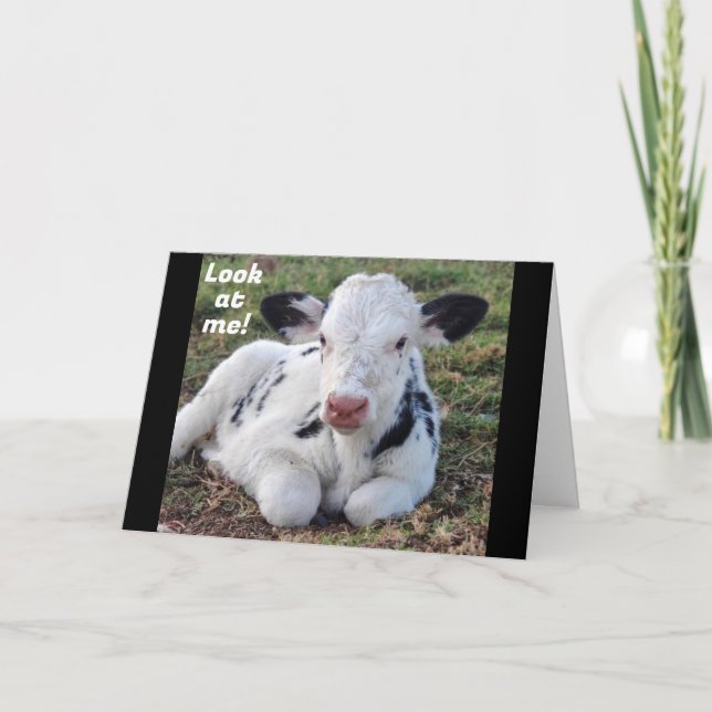 CARTES POUR FÊTES ANNUELLES "JOYEUX NOËL" DE LA PART D'UNE VACHE ADORABLE (Devant)