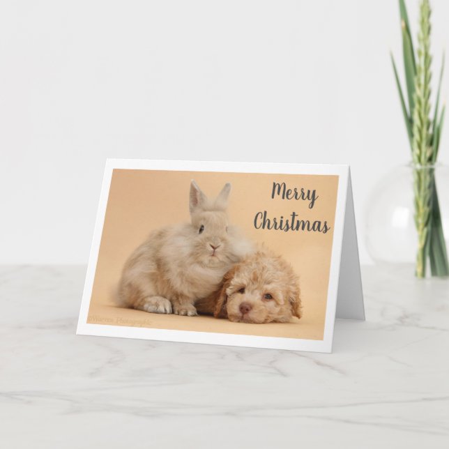 Cartes Pour Fêtes Annuelles **JOYEUX NOËL** de LAPIN & CHIOT (Devant)