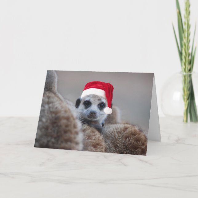 Cartes Pour Fêtes Annuelles Joyeux Noël de Meerkat - Joyeuses Fêtes 2 (Devant)