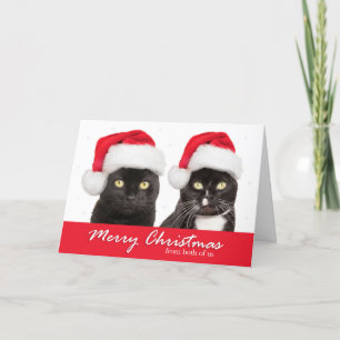 Cartes Pour Fêtes Annuelles Joyeux Noël de nous deux Chats à Santa Hats
