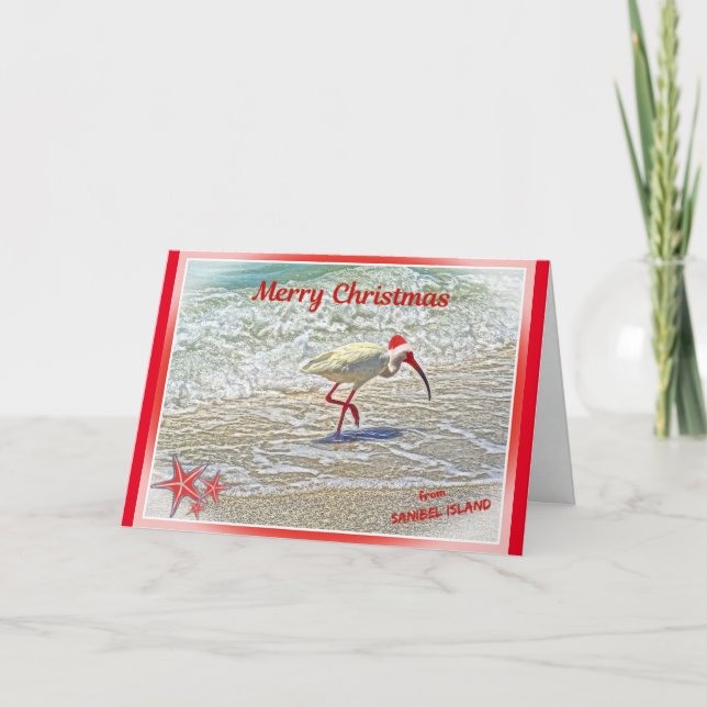 Cartes Pour Fêtes Annuelles Joyeux Noël de Sanibel Island FL White Ibis (Devant)