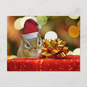 Cartes Pour Fêtes Annuelles Joyeux Noël de tamia mignonne