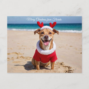 Cartes Pour Fêtes Annuelles Joyeux Noël depuis la plage de Floride