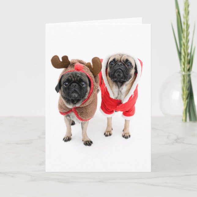 Cartes Pour Fêtes Annuelles Joyeux Noël des carlins (Devant)