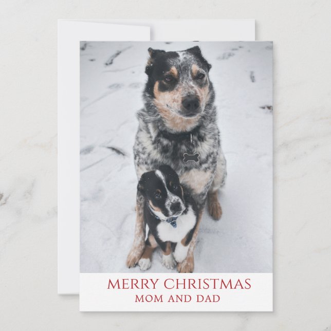 Cartes Pour Fêtes Annuelles Joyeux Noël Des Chiens (Devant)