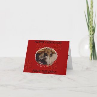 Cartes Pour Fêtes Annuelles Joyeux Noël des chiens