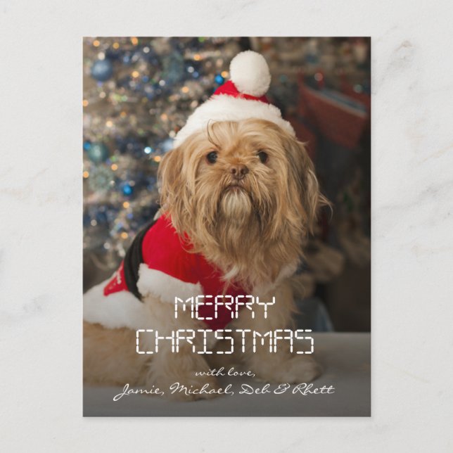 Cartes Pour Fêtes Annuelles Joyeux Noël des pattes de Père Noël (Devant)