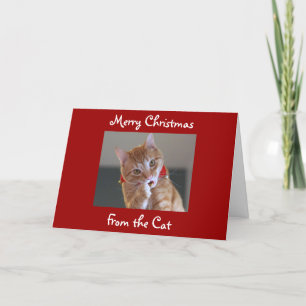 Cartes Pour Fêtes Annuelles Joyeux Noël du chat