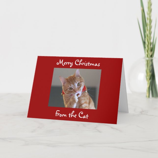 Cartes Pour Fêtes Annuelles Joyeux Noël du chat (Devant)
