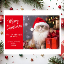 Joyeux Noël du chat dans un chapeau de Père Noël