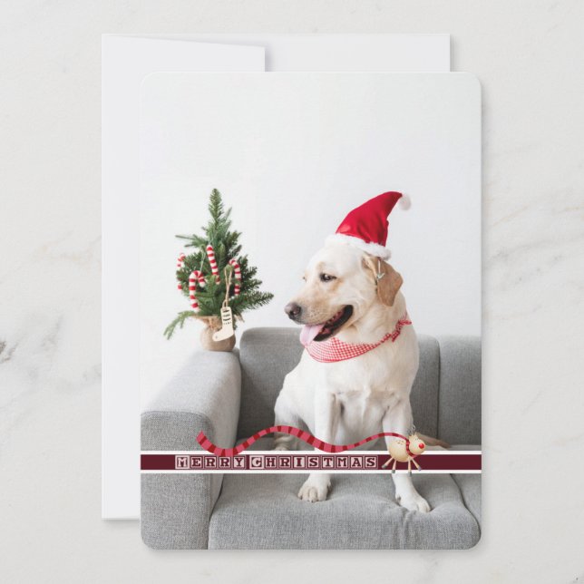 Cartes Pour Fêtes Annuelles Joyeux Noël du chien personnalisable (Devant)