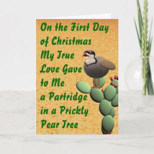 Cartes Pour Fêtes Annuelles Joyeux Noël du désert