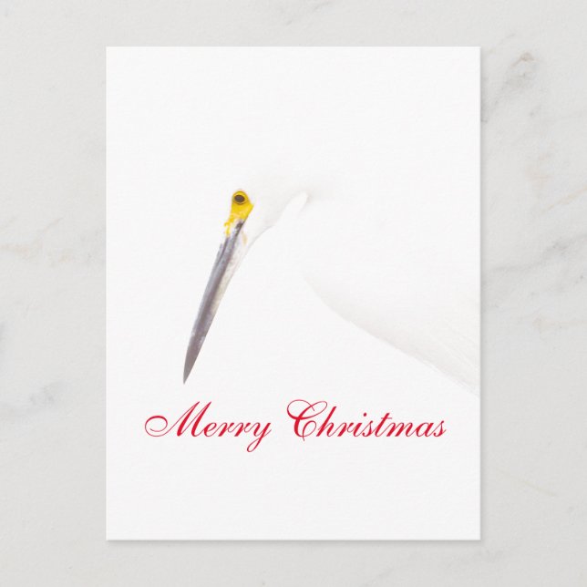 Cartes Pour Fêtes Annuelles Joyeux Noël d'une aigrette (Devant)
